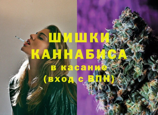 дживик Бородино