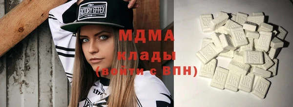 дживик Бородино