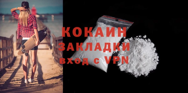 дживик Бородино