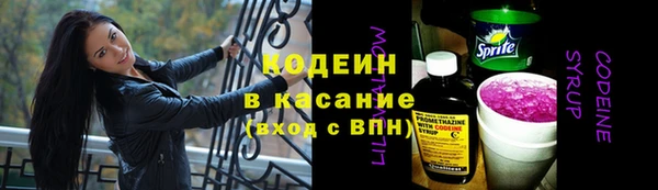 дживик Бородино