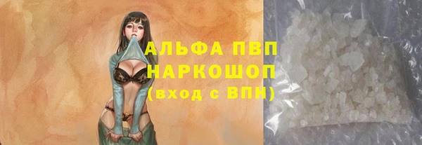 дживик Бородино