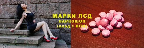 дживик Бородино