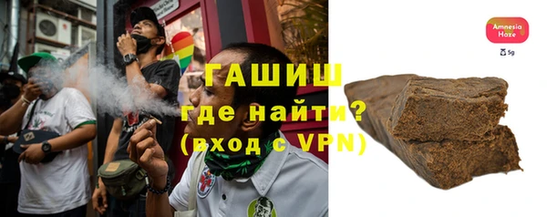 дживик Бородино